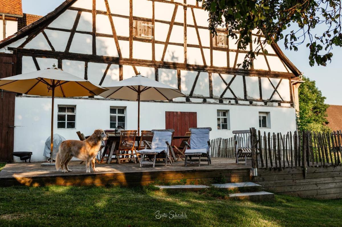 Ferienhaus Rote Sau Herrentierbach Extérieur photo